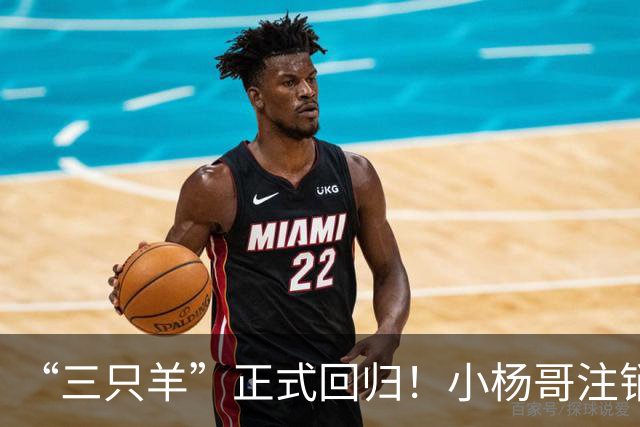 “三只羊”正式回归！小杨哥注销过亿粉丝d音账号，再注册新号发声明。