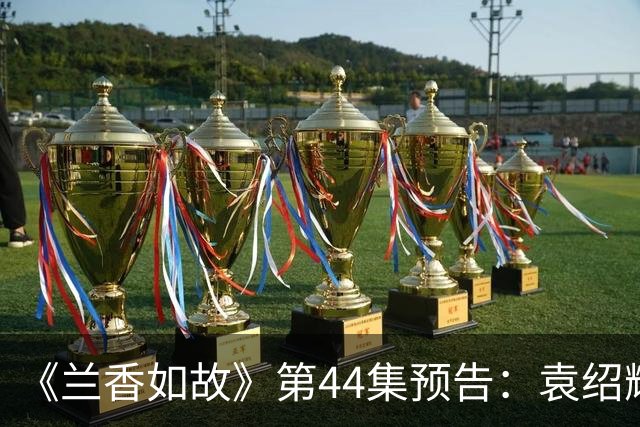 《兰香如故》第44集预告：袁绍辉去世，杜翠雀杀回金陵，还故意给林锦岐和许兰香弄出要复仇的假象