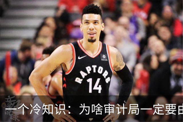 一个冷知识：为啥审计局一定要由政府一把手来分管？