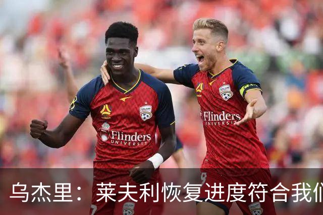 乌杰里：莱夫利恢复进度符合我们的预期 球队会保持耐心