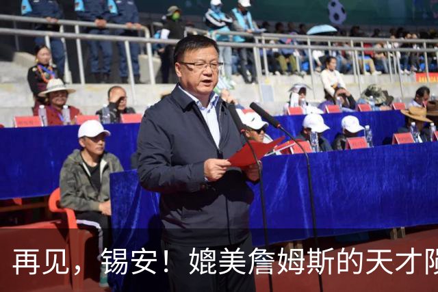 再见，锡安！媲美詹姆斯的天才陨落了……