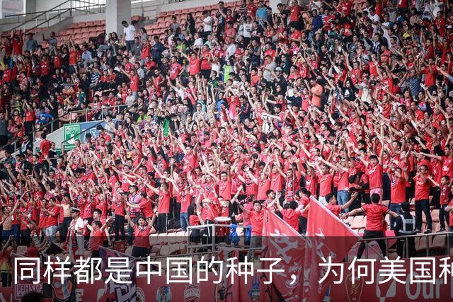 同样都是中国的种子，为何美国种出的水稻，亩产要比中国高？