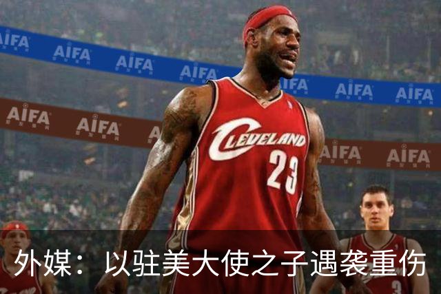 外媒：以驻美大使之子遇袭重伤