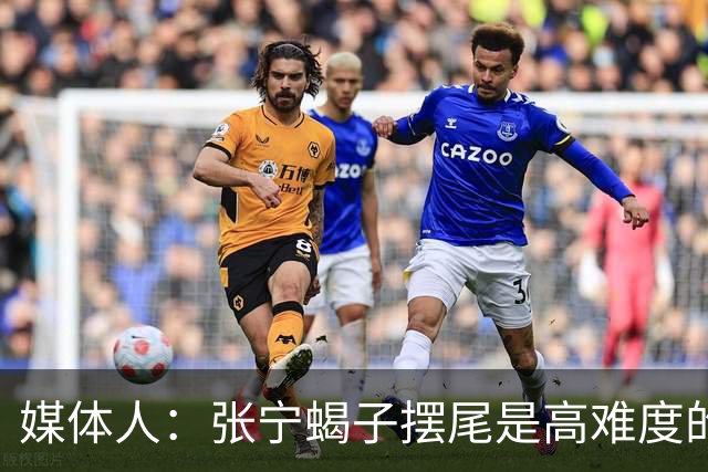 媒体人：张宁蝎子摆尾是高难度的武术技击动作 对篮球裁判有些超纲