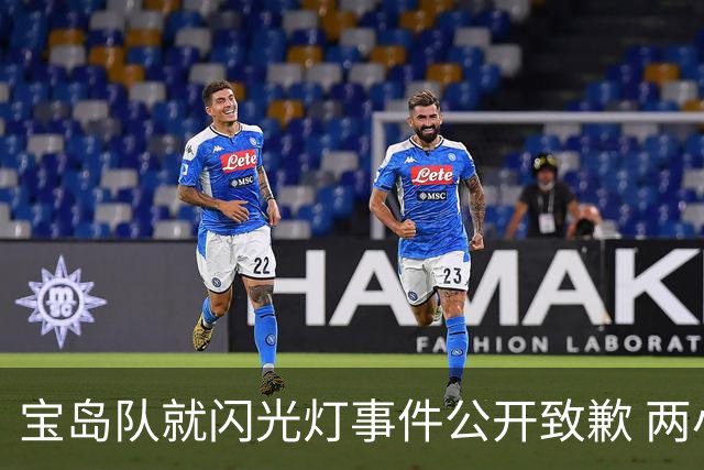 宝岛队就闪光灯事件公开致歉 两小球员坐实关键时刻干扰松岛辉空