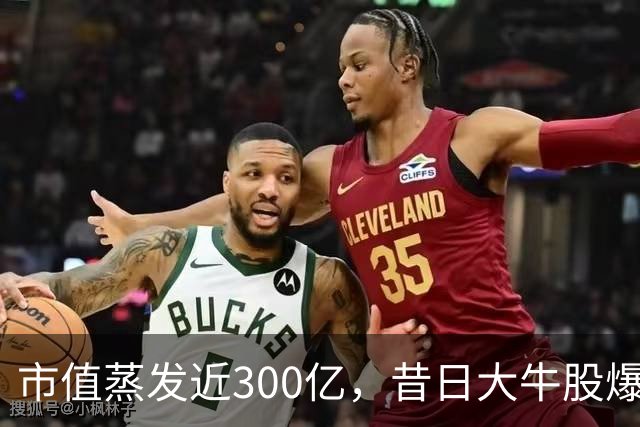 市值蒸发近300亿，昔日大牛股爆雷