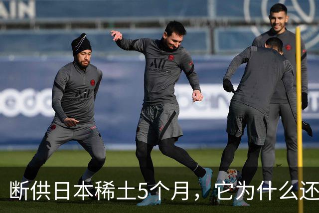 断供日本稀土5个月，它为什么还没趴下？