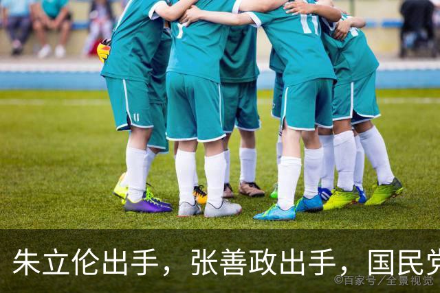 朱立伦出手，张善政出手，国民党中央重磅决定，赵少康没事了？
