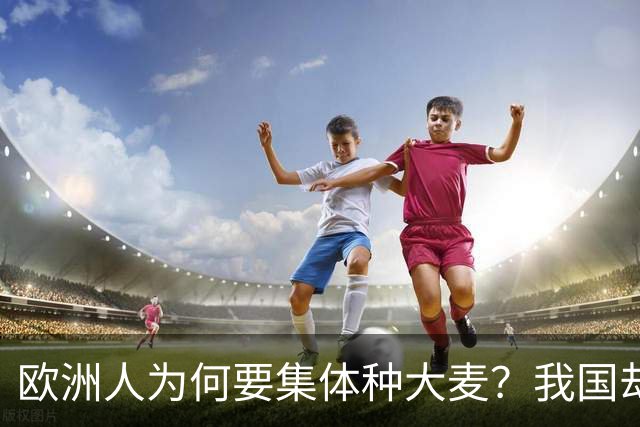 欧洲人为何要集体种大麦？我国却宁愿重金进口，也不种植？