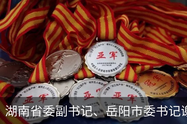 湖南省委副书记、岳阳市委书记谢卫江任湖南省政府党组书记