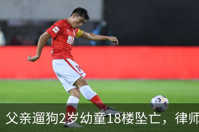 父亲遛狗2岁幼童18楼坠亡，律师谈“刑事不立案”：此类事件刑事追责非常审慎，但非免除监护过错