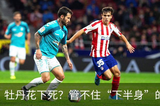 牡丹花下死？管不住“下半身”的张本智和，终为自己的荒唐买了单