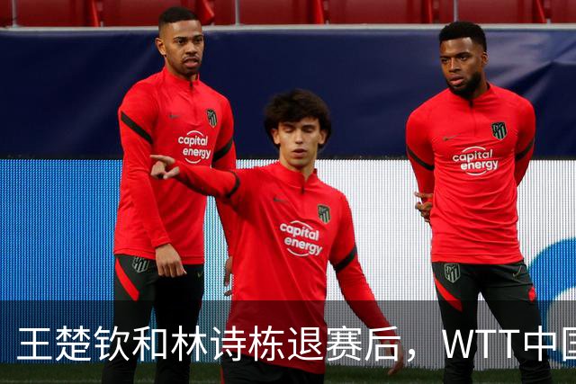 王楚钦和林诗栋退赛后，WTT中国大满贯赛，谁有机会夺得男单冠军