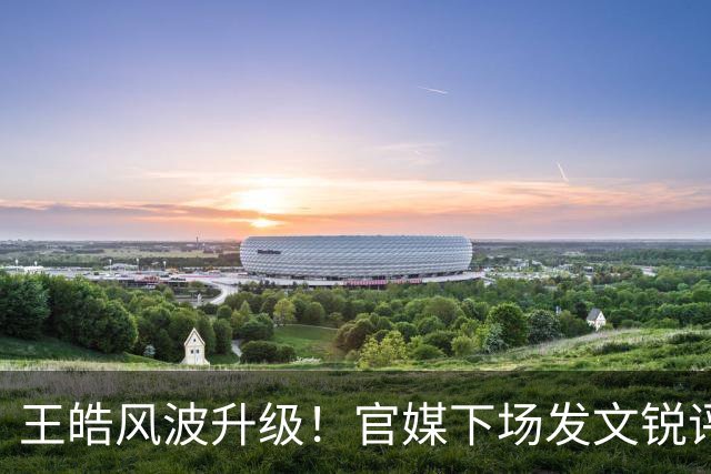 王皓风波升级！官媒下场发文锐评，言辞犀利，句句戳王皓妻子心坎