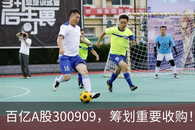 百亿A股300909，筹划重要收购！