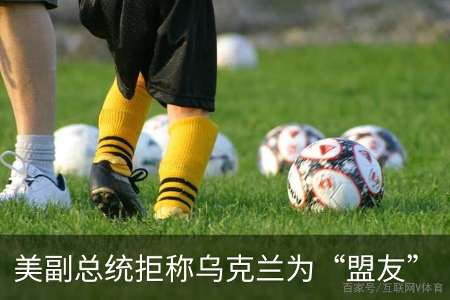 美副总统拒称乌克兰为“盟友”