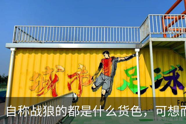 自称战狼的都是什么货色，可想而知