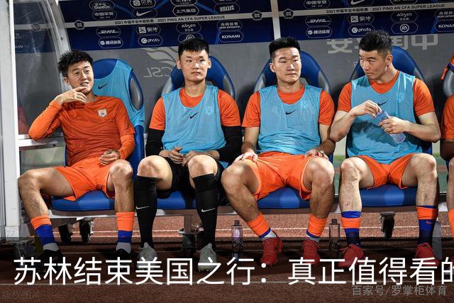 苏林结束美国之行：真正值得看的，不是有没有见到特朗普