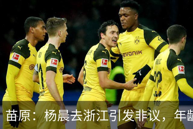 苗原：杨晨去浙江引发非议，年龄和工作经历不符合条件