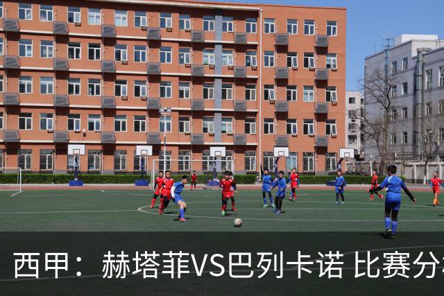 西甲：赫塔菲VS巴列卡诺 比赛分析