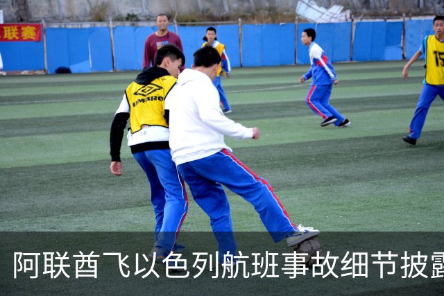 阿联酋飞以色列航班事故细节披露：副驾驶刺伤机长，乘客锁喉制伏并稳定飞机