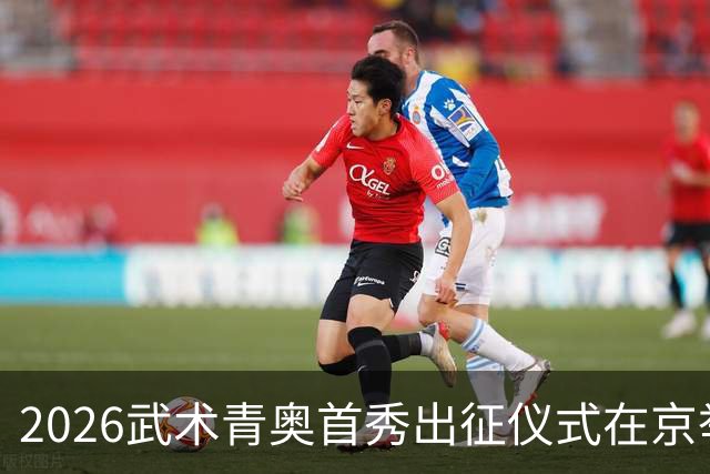 2026武术青奥首秀出征仪式在京举行