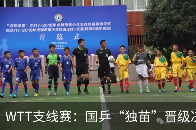 WTT支线赛：国乒“独苗”晋级决赛争冠！此前15位队友已输光